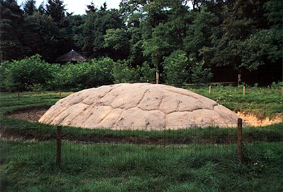 Stylized Brain-structure - Kees Bierman, The Netherlands