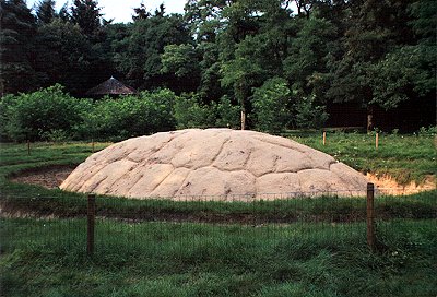 Stylized Brain-structure - Kees Bierman, The Netherlands