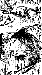 Websites